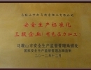 安全生產標準化企業